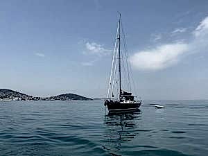 Büyükada Evden Eve Nakliyat: Doğru Firma Seçiminin Önemi